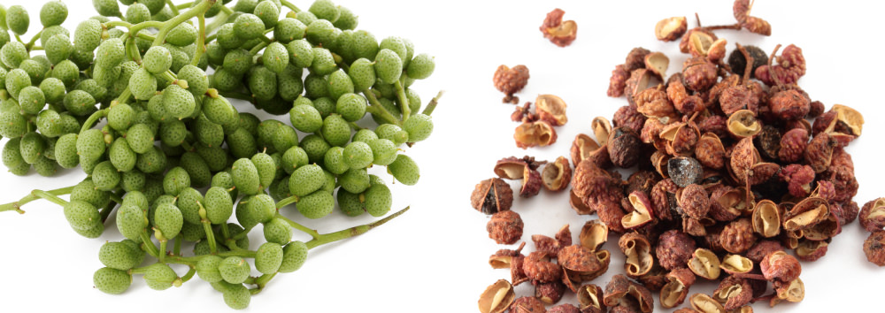 山椒と花椒（ホアジャオ）の違い