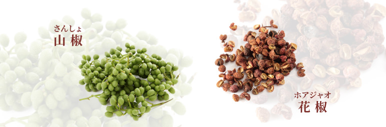 違う！似てる？山椒と花椒