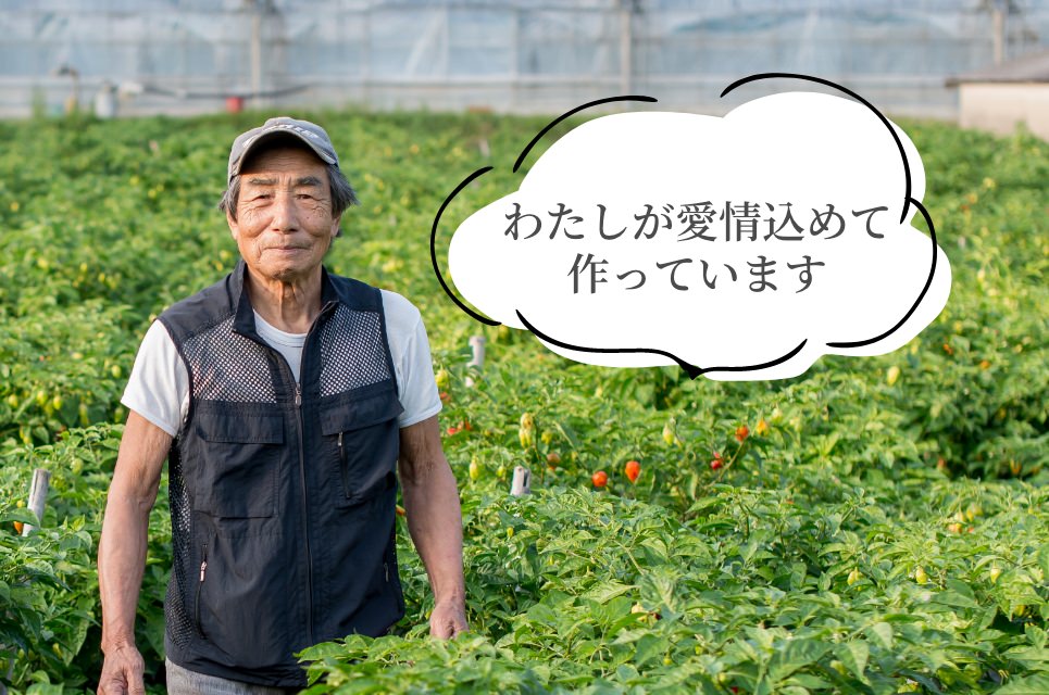 ハバネロ契約農家様