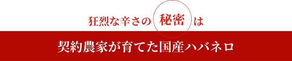 強烈な辛さの秘密は契約農家が育てた国産ハバネロ