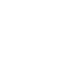What Is UMAMI