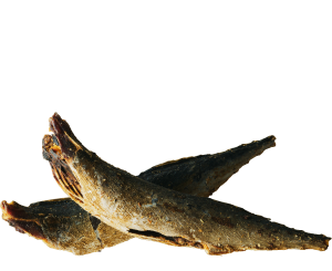 熊本県産 さば節