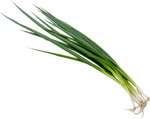 京野菜・九条ねぎの素揚げ