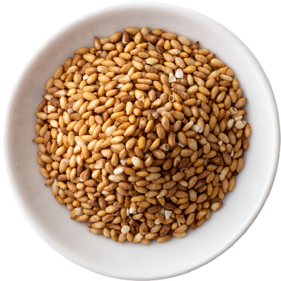 国内生産の炒り胡麻