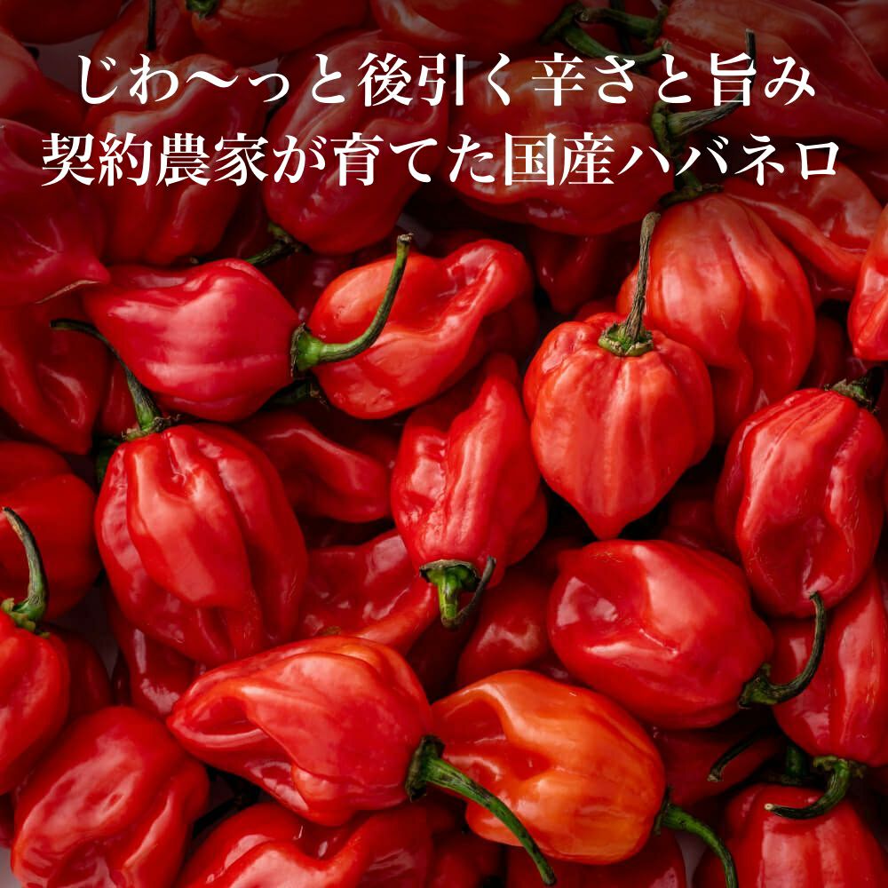 おだし狂辛薬味セット_舞妓七味